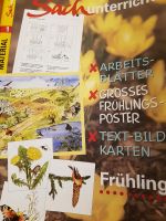 Materialien/KV "Frühling" im Sachunterricht der Grundschule Thüringen - Waltershausen Vorschau