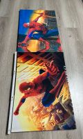 Spiderman Marvel Leinwand Gemälde Portait Frankfurt am Main - Bockenheim Vorschau