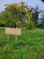 Baugrundstück in Üxheim / Eifel Rheinland-Pfalz - Üxheim Vorschau