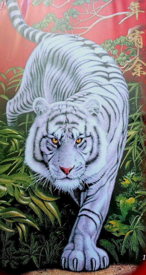 Tiger Bild mit Rahmen - Thailand - Asien - Buddhismus 59×28.5cm in Hilden