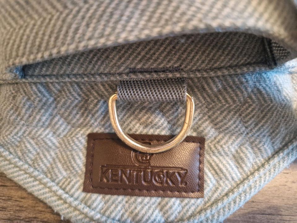 Kentucky Hundegeschirr Body Safe wool hellblau Gr. M in Erkrath