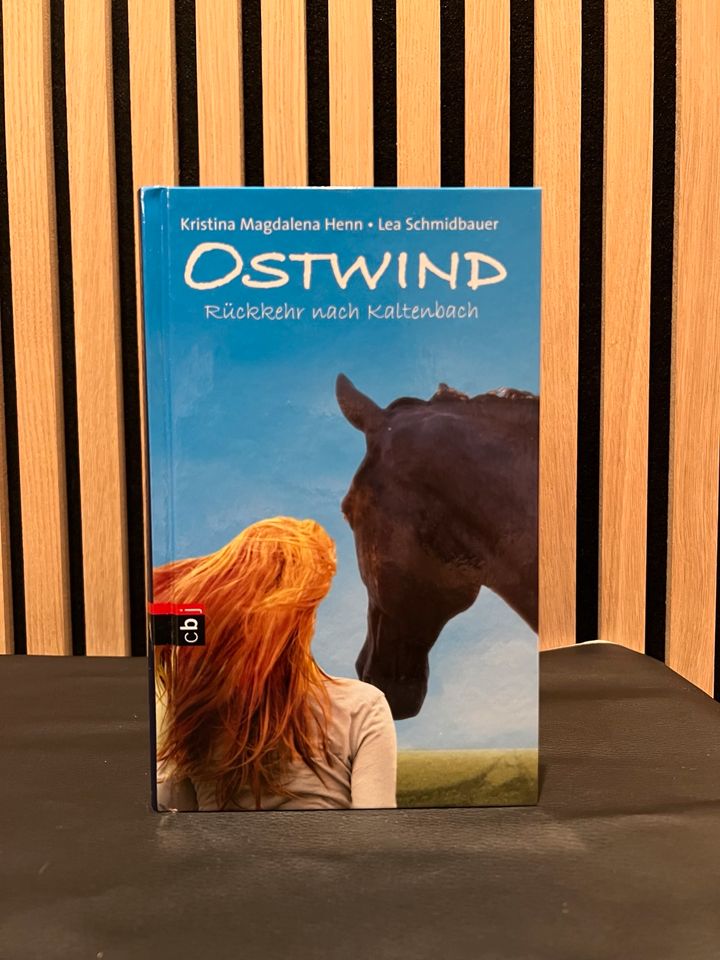 Ostwind, Bücher zum Film, Pferdebuch, Mädchenbuch, Neuwertig in Ehrenberg (Rhön)