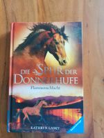 Buch "Die Spur der Donnerhufe - Flammenschlucht" Gyhum - Bockel Vorschau