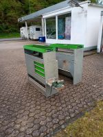 Reca Fahrzeugeinrichtung Einbauregal für Transporter Rheinland-Pfalz - Neuhäusel Vorschau
