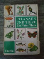 Pflanzen und Tiere Ein Naturführer 1971 Brandenburg - Treuenbrietzen Vorschau