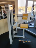 GYM 80 RÜCKENSTRECKER ACCEPT LOWER BACK OLDSCHOOL KRAFTGERÄT Nordrhein-Westfalen - Senden Vorschau