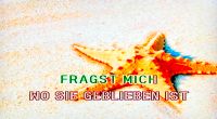 ♫ Deutsch MagicSing DJ.Tiamo #3 Karaoke Chip mit 75 Liedern OVP ♫ Bayern - Ingolstadt Vorschau