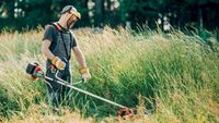 Gras mähen mit Freischneider Sachsen - Görlitz Vorschau