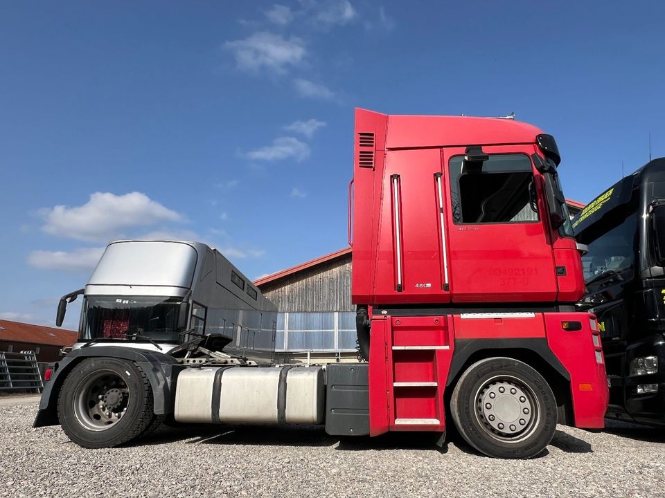 Renault MAGNUM Mega Low verstellbare Sattelkupplung Auto in Vaterstetten