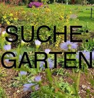 Familie sucht einen Garten Stuttgart - Bad Cannstatt Vorschau