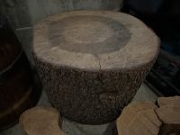 Baumstamm Zedern Holz Baum Köln - Porz Vorschau