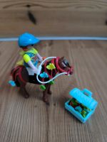 Playmobil 6971 Schmück-Pony mit Schmetterling Herzogtum Lauenburg - Dassendorf Vorschau