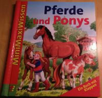 Buch Pferde und Ponys, MiniMaxiWissen Blumenthal - Farge Vorschau