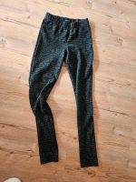 Hose Gina Gr.36 Jogginghose Berlin - Hellersdorf Vorschau