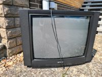 Sharp Röhrenfernseher Niedersachsen - Peine Vorschau