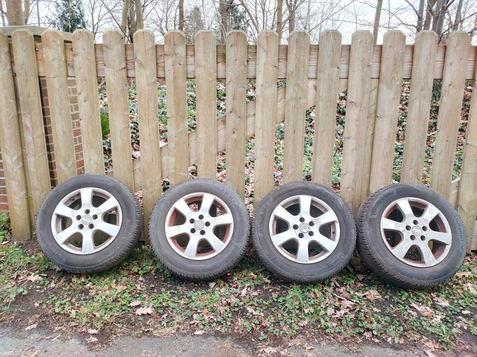 Alufelgen VW Golf 4 etc. Lochkreis 5x100 in Verden