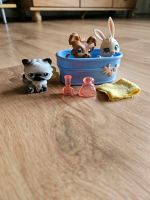 Littlest PetShop Set Nordrhein-Westfalen - Heinsberg Vorschau