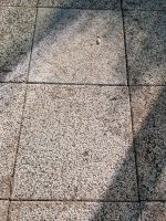Terrassenplatten aus Stein Pankow - Karow Vorschau