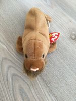 Beanie Baby TY Paul Seelöwe Hessen - Kiedrich Vorschau