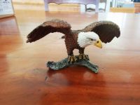 Schleich - 14780 - Weißkopfseeadler Baden-Württemberg - Ebringen Vorschau