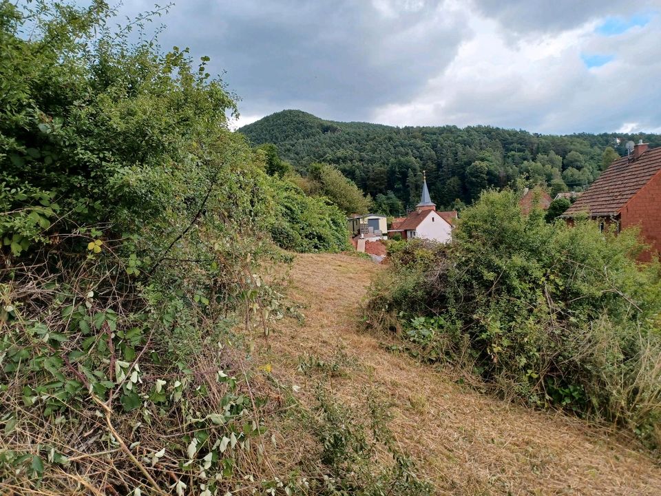 Baugrundstücke in RheinlandPfalz Lug (Pfalz) Grundstück & Garten