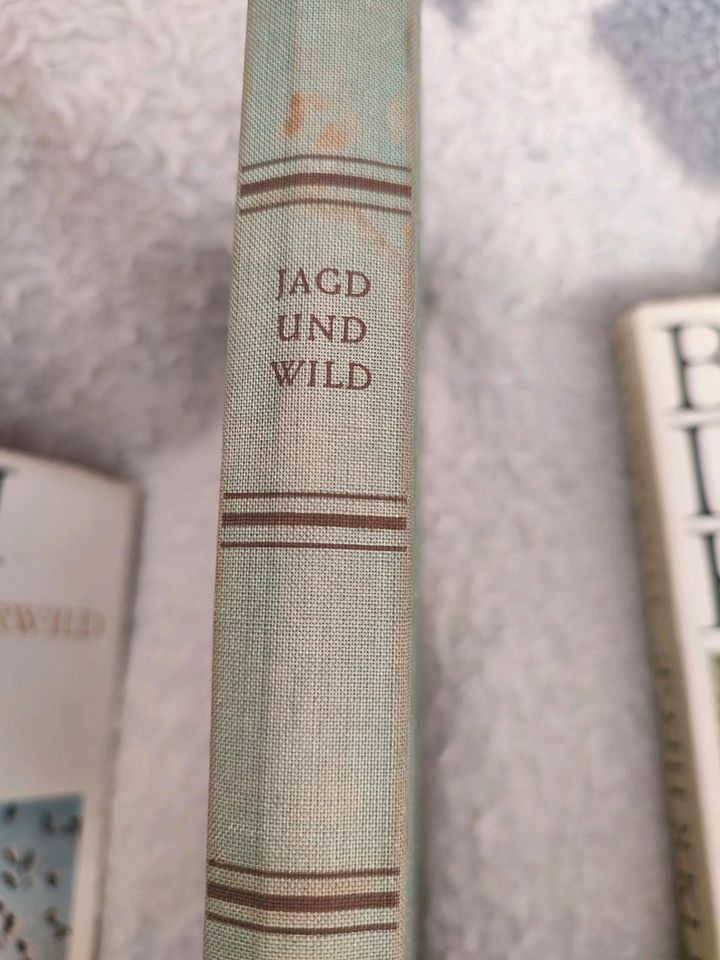 Jagd Hege Bücher in Leinefelde-Worbis