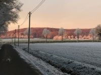 Haus, Bauernhaus, Kotten, Grundstück Nordrhein-Westfalen - Senden Vorschau