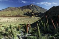 Kleingruppen-Tagestour zum Berg Teide (Teneriffa) Berlin - Steglitz Vorschau