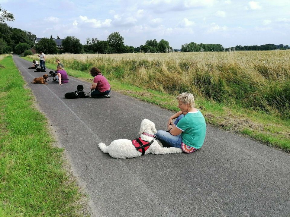 Spielgruppe für Hunde / Hundefreilauf, Hundetreffen, Hundeschule in Soest