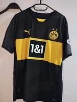 BVB Auswärts Trikot Herzogtum Lauenburg - Geesthacht Vorschau