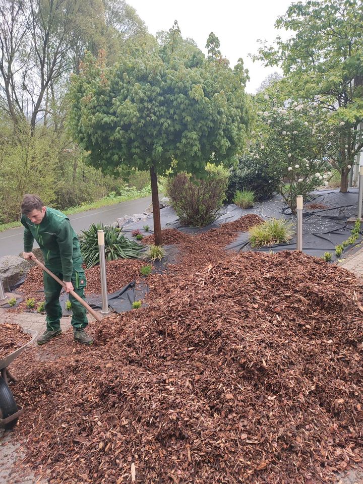 Garten- und Landschaftsbau|Erdarbeiten|Baggerarbeiten|Gärtner in Gelnhausen