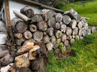 Brennholz von 3 Fichten und Obstbäumen Thüringen - Sondershausen Vorschau
