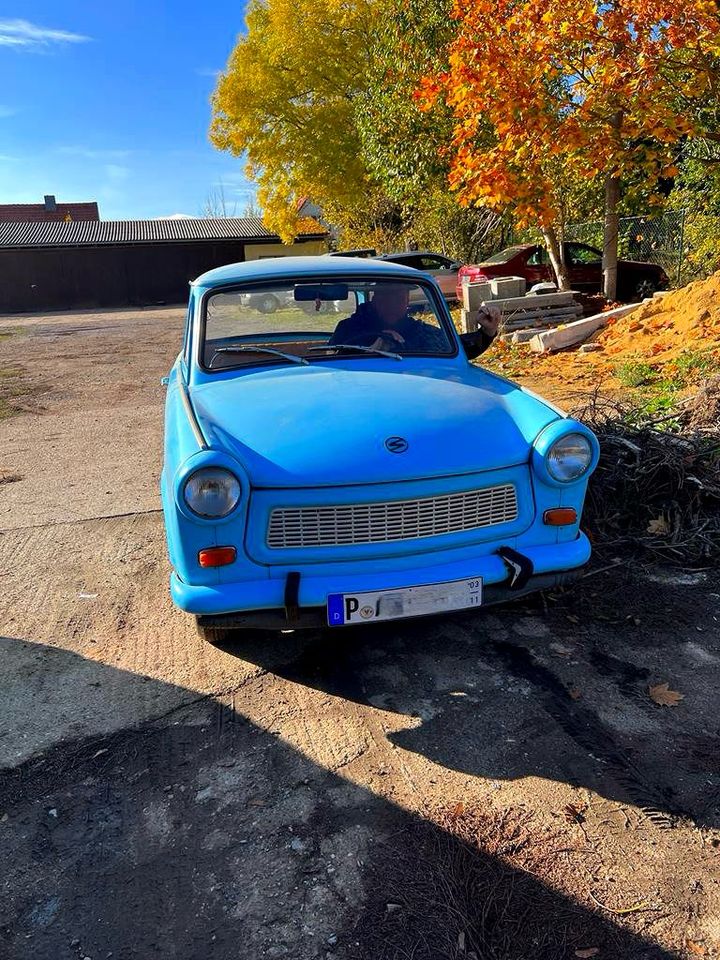 Trabant mieten in Hohendodeleben