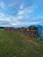 Brennholz 1m gespalten Bayern - Tirschenreuth Vorschau