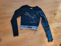 *** Puma Sport T-shirt Gr. 34 *** Bayern - Regensburg Vorschau