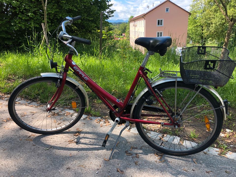 Epple 7-Gang Fahrrad 28“ in Kempten