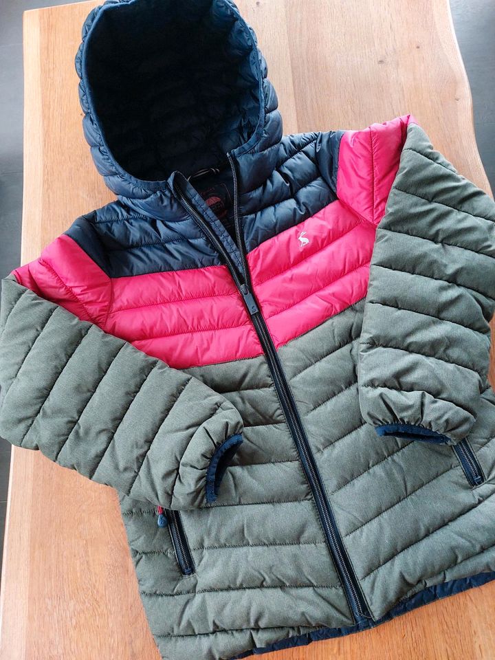 JOULES wattierte Jacke - Steppjacke gr 140/146 in Edewecht