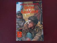 Arnulf Zitelmann - Unter Gauklern - Roman Mittelalter Niedersachsen - Aurich Vorschau