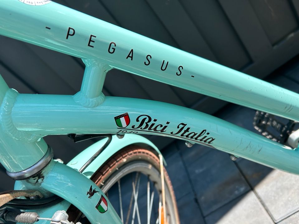 Pegasus Bici Italia 45 mintgrün 7 Gang 28 Zoll in Faßberg