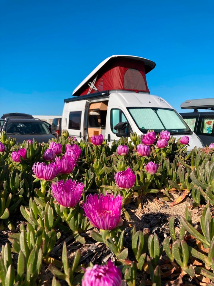 Camper mieten Wohnmobil mieten Ostsee in Ribnitz-Damgarten