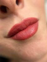 Lippenpigmentierung Saarland - Dillingen (Saar) Vorschau