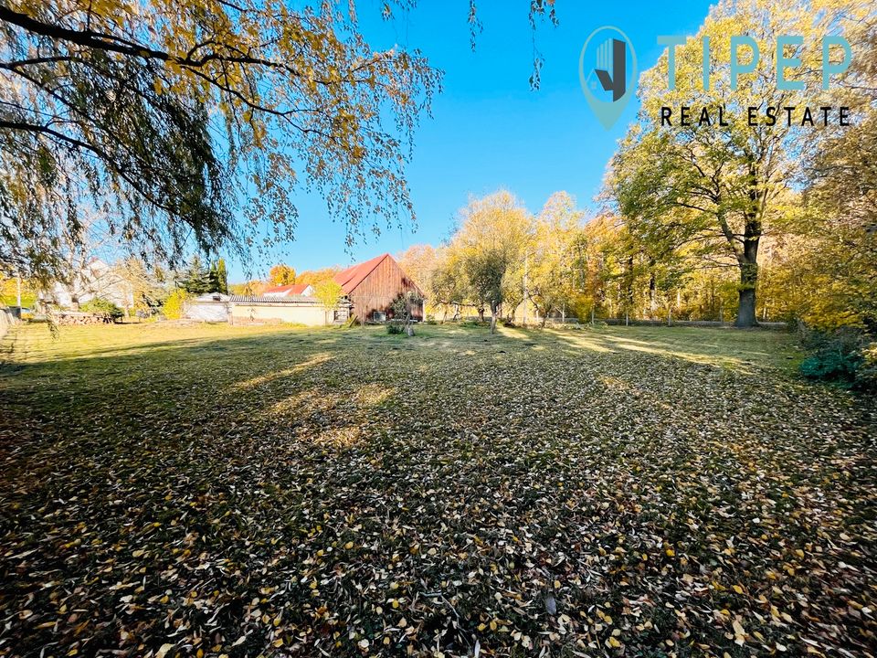 Traumimmobilie mit großem Grundstück in Siedlung nahe Flößberg - Ideal für Naturliebhaber und Pendler! in Frohburg