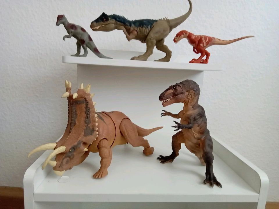 Auflösung meiner Dinos Figuren Sammlung Dinosaurier in Friedberg