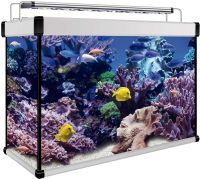 ICA KXM68P Kit Aquarium Lux Pro 68L + Filter / LED Display NEU Neustadt - Hohentor Vorschau