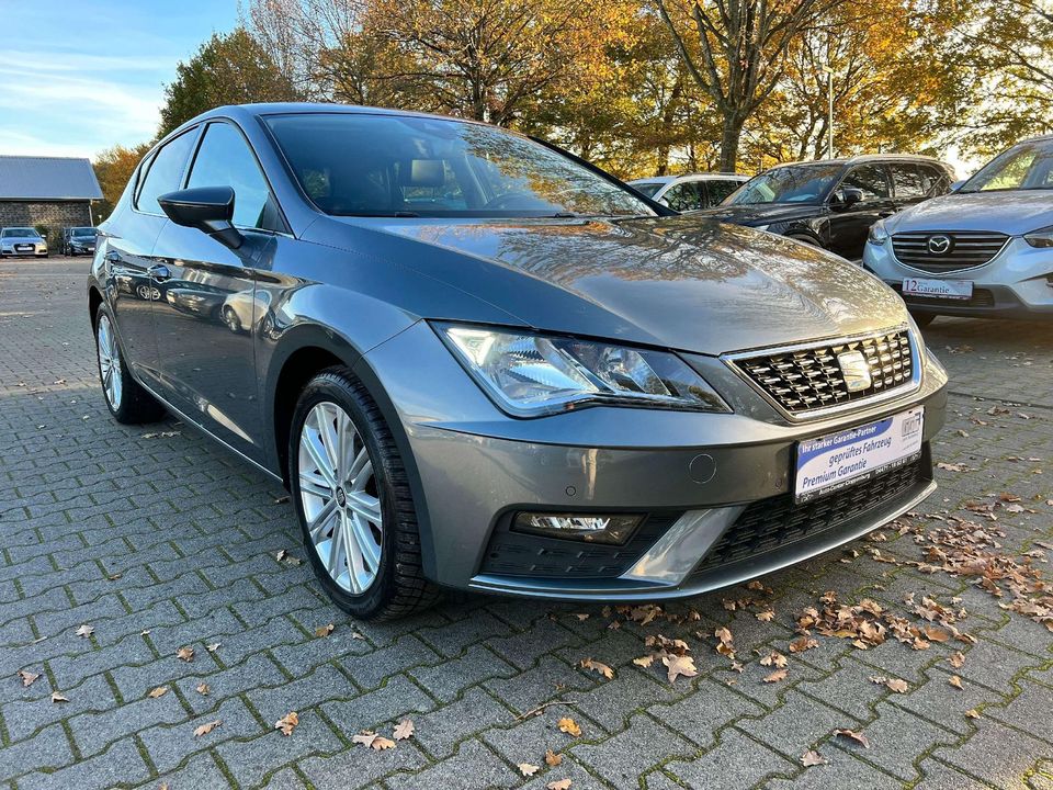 Seat Leon 1.6 TDI DSG Start in Cloppenburg