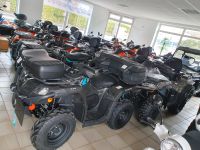 Cfmoto Cforce 450S Lagerräumung Bayern - Mitterteich Vorschau