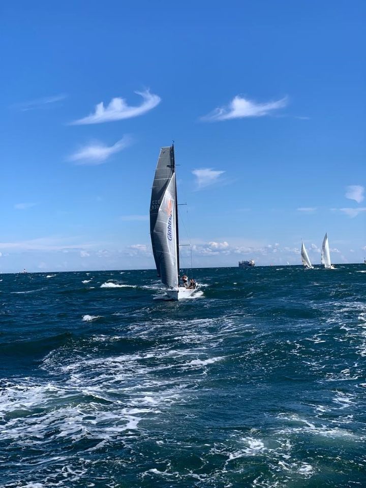 Regattaboot: Das schnellste Boot auf dem See Tboat 830i in Kiel