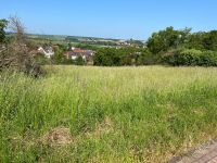 Wiese Tierwiese Freizeitwiese (1150m2) in 34587 zu verpachten Hessen - Felsberg Vorschau