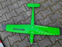 Grüner Modellflieger Modellflugzeug "Tom's Hotdog" Bayern - Straßkirchen Vorschau