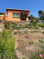 Garten in der Südstadt vollmöbliert inkl. Toilette Mecklenburg-Vorpommern - Rostock Vorschau